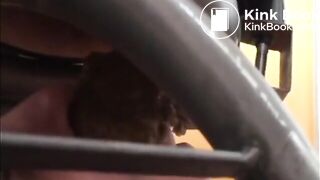 fed & sucking shitty cock