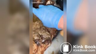 Filthy Porta Potty Shit Eating Whore