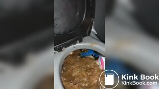 Scat Whore's 14 Minute Visit To A Porta Potty