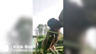 Shit Pig from Berlin