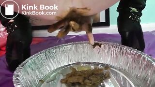 Grosses truie dans ca merde