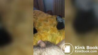 93B3348 - Scat Scenes