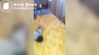 93B3348 - Scat Scenes
