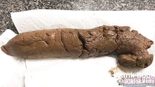 Fat, Hairy Ass Late Night Scat Close-Up