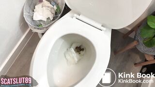 Shitting, Farting, Wiping, Pissing, Sniffing