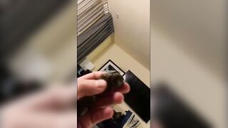 ebony scat