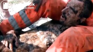 Scatfotze in the bog