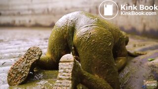 Diving in the maure pit full of cowshit