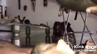 Feeding and eating