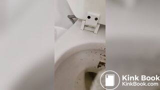 Cleaning my toilet with the bible  HAIL SATAN!