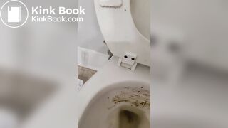 Cleaning my toilet with the bible  HAIL SATAN!