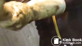 Scat Farm
