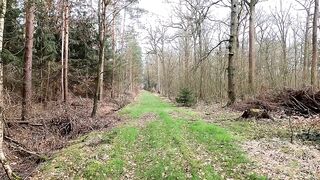 Pussyclips walking in the forest