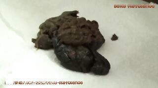 Sexyflatulence-counter-poo