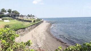 Brought to the beach to do a risky public deep blowjob while no one saw