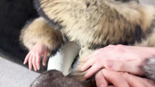 Fur Fetish Couple Francis & Alessia cum on fur extreme, fur handjob, doggystyle big raccoon furhood