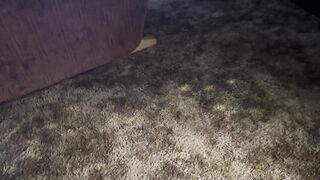Roommate Uses You as a Piggybank and your Face as a Seat! (Financial Humiliation, Face Farting)