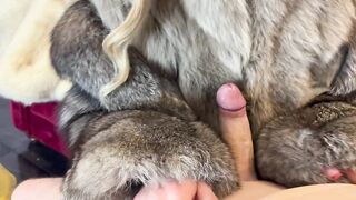 Fur Fetish Couple - Alessia is wearing a Double Furcoat, Handjob, Doggysex & Cumshot on Fur