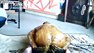 scat,shit,kv,smear,fun,anal,dirt,pig,kaviar,kacke