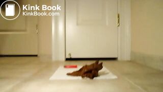 Shitting 6-7-12 3 day constipated log jam