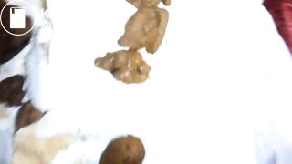 Swallow bf small turd