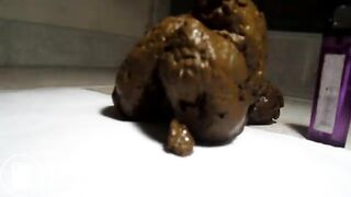 Shitting out 3 cheeseburgers and an omelette 10-19-2012