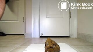 Shitting out 3 cheeseburgers and an omelette 10-19-2012