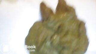 my biggest morning pile!