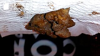 Eating BF turds Nov2014