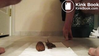 Thick solid Short chunk 11-19-2014