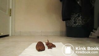 Thick solid Short chunk 11-19-2014