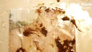 Kassandra - Pee tribute