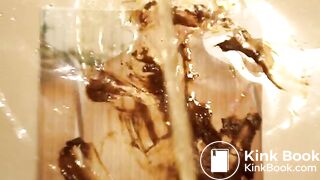 Kassandra - Pee tribute