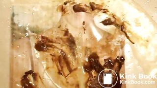 Kassandra - Pee tribute