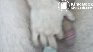 piss, shitty ass and cock