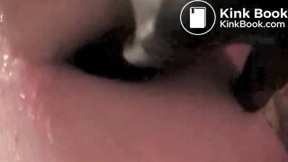 Pissing in his wide open asshole