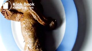 Me shitting in an oval plate (without sound)