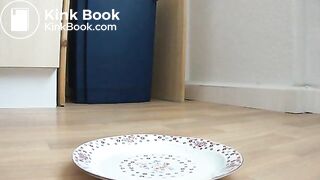 Das Essen ist fertig!