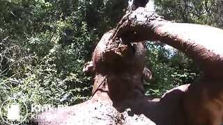 Walking The Creek Pt 3