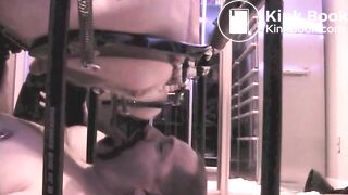 Ox's Toilet Eats Shit