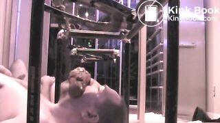 Ox's Toilet Eats Shit