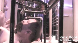 Ox's Toilet Eats Shit