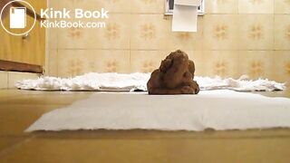 feces 8 001