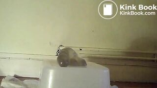 Gros plan suçage de gode merdeux