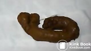 dog shit
