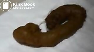 dog shit
