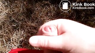 cumshot in the Wood