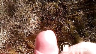 cumshot in the Wood