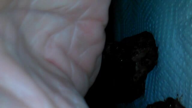 Eating some turd chunks