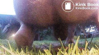 GOPR0334